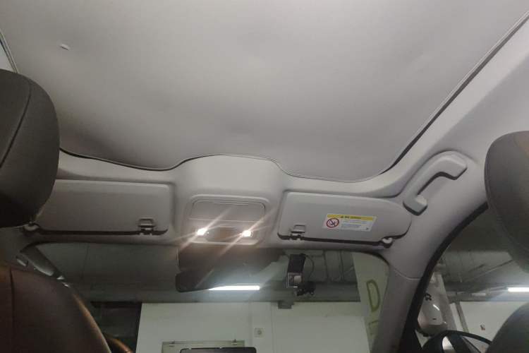 Used Ford Mustang Mach-E 2021 AION Y Plus Rear-Drive Luxury Edition (Long Range) Headliner