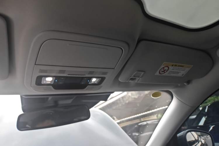 Used Ford Mustang Mach-E 2021 Wujiang Rear-Drive Version (Long Range) Headliner