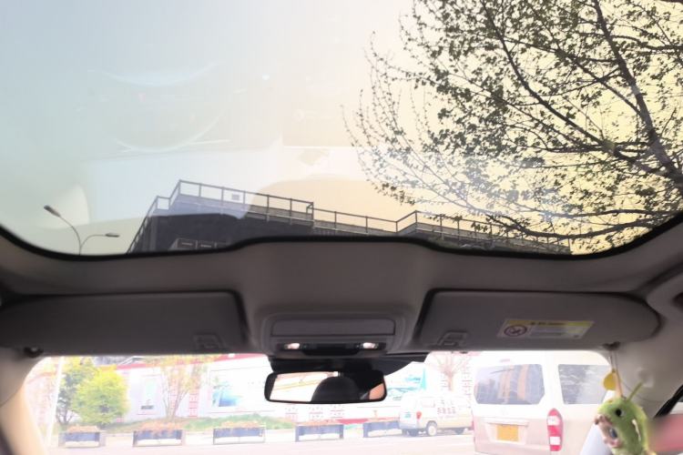 Used Ford Mustang Mach-E 2021 AION Y Plus Rear-Drive Luxury Edition (Long Range) Headliner