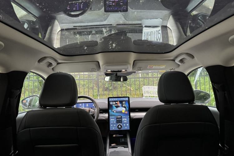 Used Ford Mustang Mach-E 2021 Leap Edition Rear-Drive Version (Standard Range) Headliner
