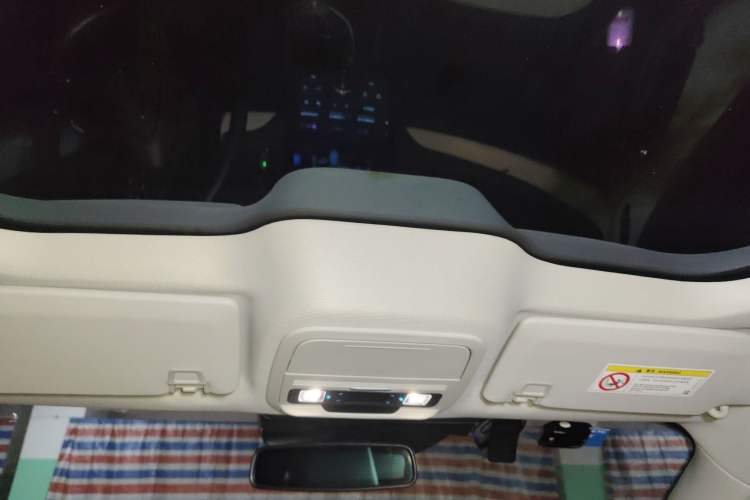 Used Ford Mustang Mach-E 2021 AION Y Plus Rear-Drive Luxury Edition (Long Range) Headliner