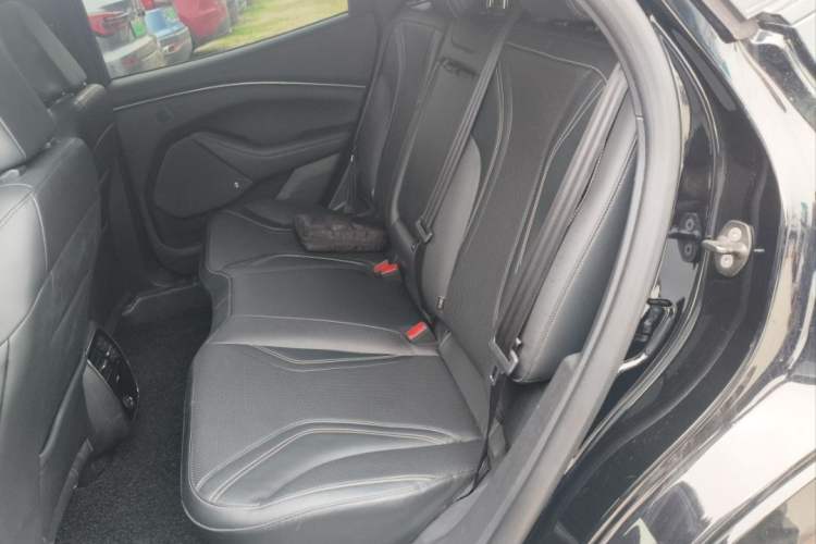 Used Ford Mustang Mach-E 2021 AION Y Plus Rear-Drive Luxury Edition (Long Range) Interior 3