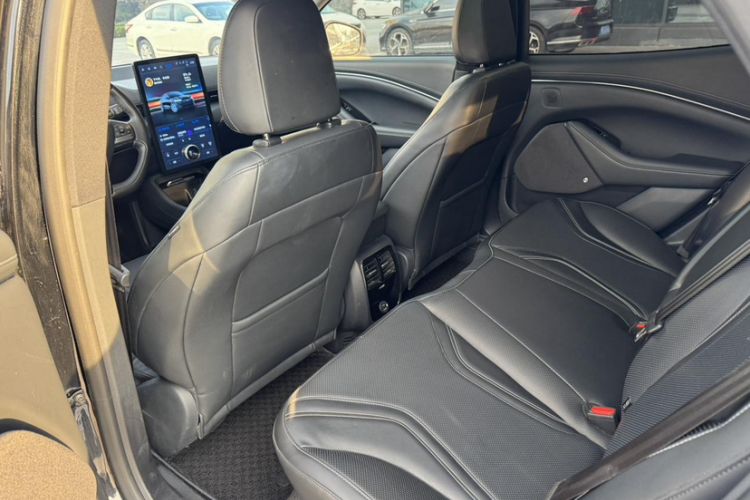 Used Ford Mustang Mach-E 2021 AION Y Plus Rear-Drive Luxury Edition (Long Range) Interior 4