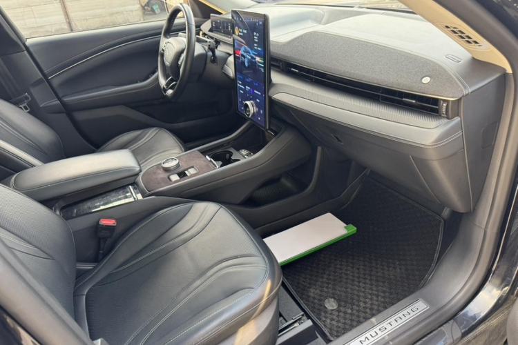 Used Ford Mustang Mach-E 2021 AION Y Plus Rear-Drive Luxury Edition (Long Range) Interior 6