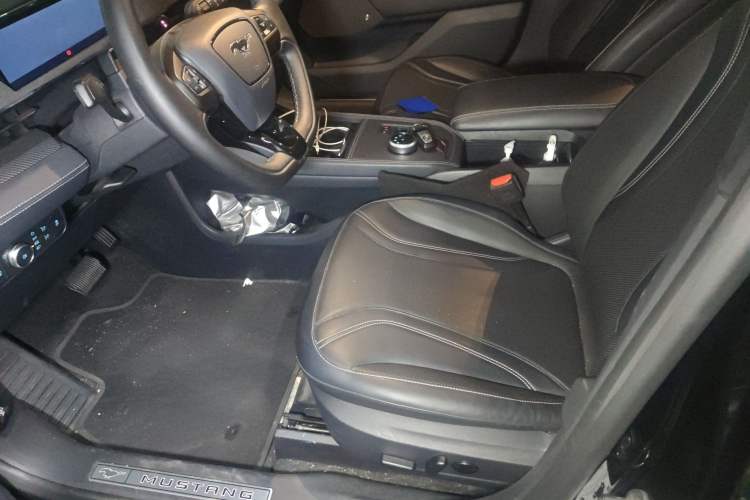 Used Ford Mustang Mach-E 2021 AION Y Plus Rear-Drive Luxury Edition (Long Range) Left Front Seat