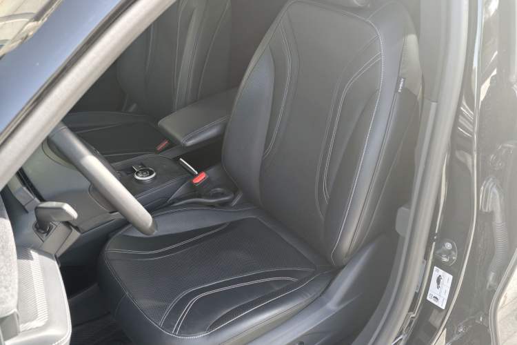 Used Ford Mustang Mach-E 2021 AION Y Plus Rear-Drive Luxury Edition (Long Range) Left Front Seat