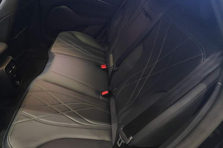 Used Ford Mustang Mach-E 2021 Leap Edition Rear-Drive Version (Standard Range) Left Rear Seat