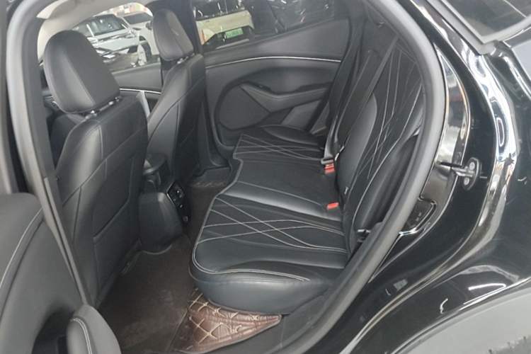 Used Ford Mustang Mach-E 2021 Leap Edition Rear-Drive Version (Standard Range) Left Rear Seat