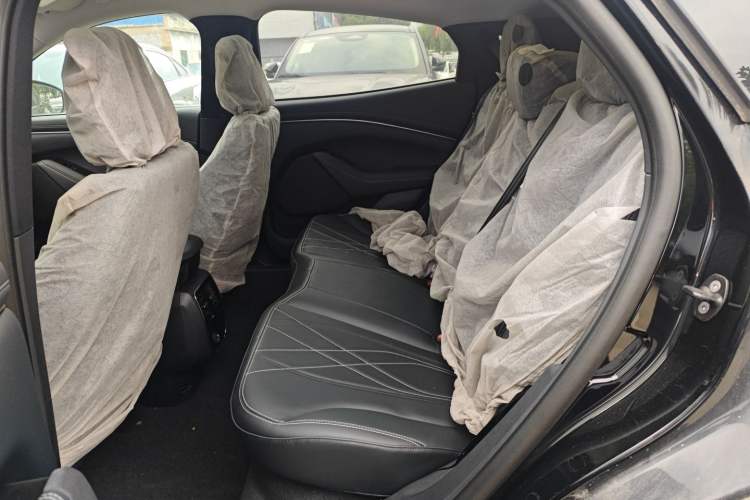 Used Ford Mustang Mach-E 2021 Leap Edition Rear-Drive Version (Standard Range) Left Rear Seat