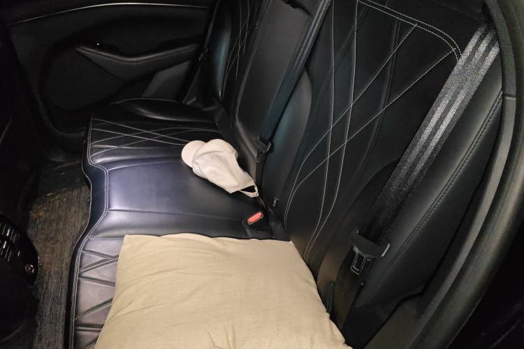 Used Ford Mustang Mach-E 2021 Leap Edition Rear-Drive Version (Standard Range) Left Rear Seat