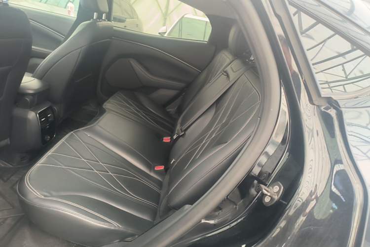 Used Ford Mustang Mach-E 2021 Leap Edition Rear-Drive Version (Standard Range) Left Rear Seat