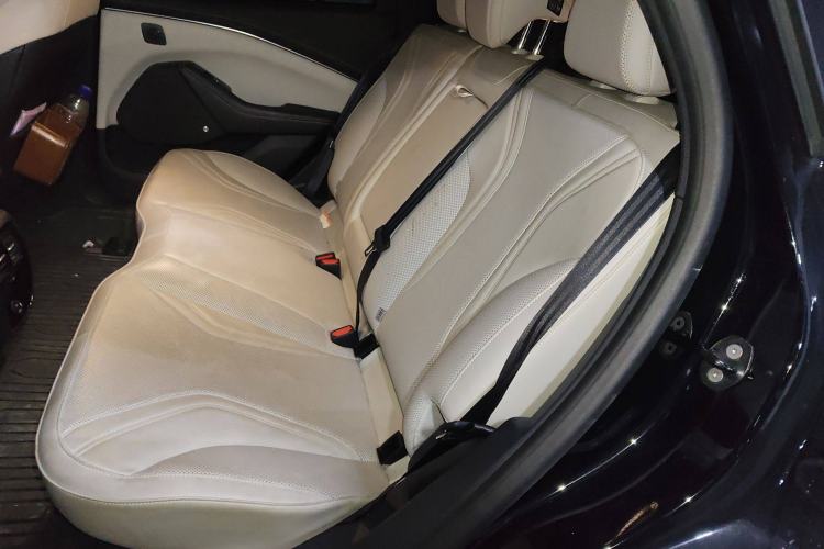 Used Ford Mustang Mach-E 2021 AION Y Plus Rear-Drive Luxury Edition (Long Range) Left Rear Seat