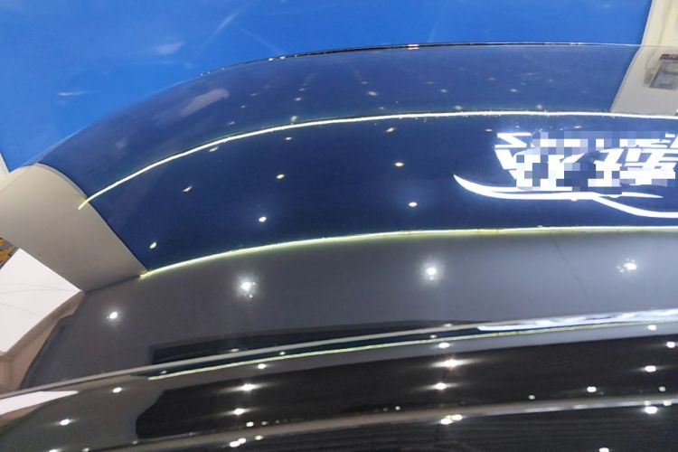 Used Ford Mustang Mach-E 2021 Leap Edition Rear-Drive Version (Standard Range) Roof