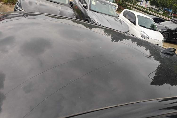 Used Ford Mustang Mach-E 2021 Leap Edition Rear-Drive Version (Standard Range) Roof