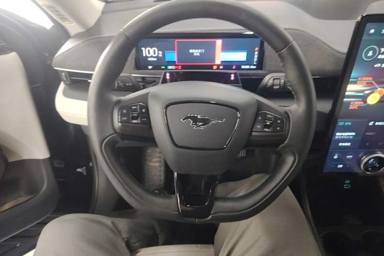 Used Ford Mustang Mach-E 2021 AION Y Plus Rear-Drive Luxury Edition (Long Range) Steering Wheel