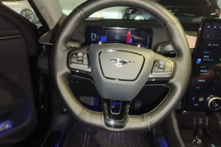 Used Ford Mustang Mach-E 2021 AION Y Plus Rear-Drive Luxury Edition (Long Range) Steering Wheel
