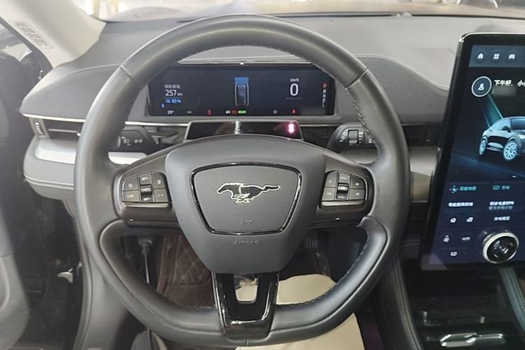 Used Ford Mustang Mach-E 2021 Leap Edition Rear-Drive Version (Standard Range) Steering Wheel