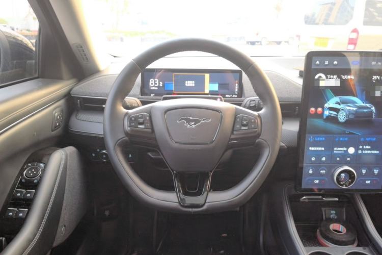 Used Ford Mustang Mach-E 2021 AION Y Plus Rear-Drive Luxury Edition (Long Range) Steering Wheel