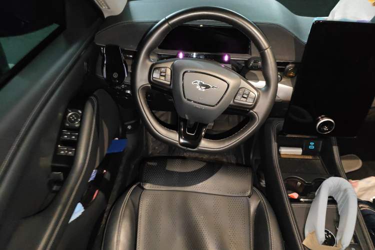 Used Ford Mustang Mach-E 2021 Leap Edition Rear-Drive Version (Standard Range) Steering Wheel