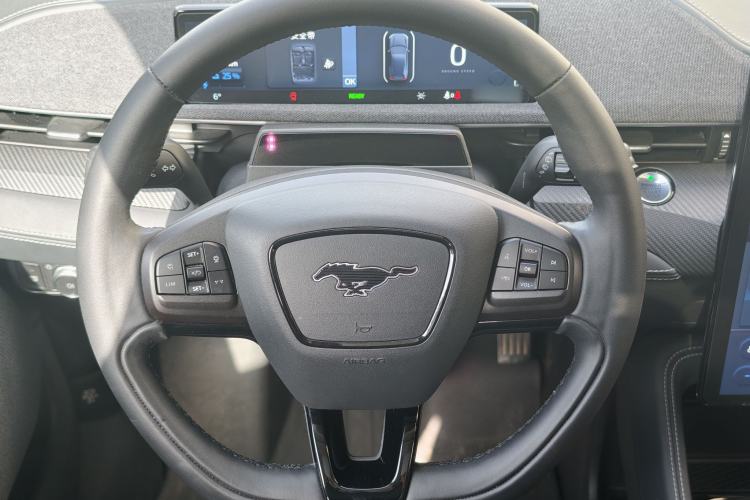 Used Ford Mustang Mach-E 2021 AION Y Plus Rear-Drive Luxury Edition (Long Range) Steering Wheel