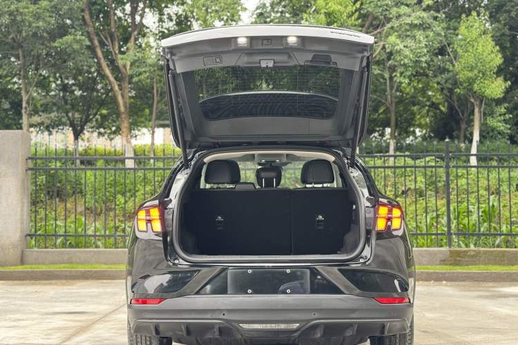 Used Ford Mustang Mach-E 2021 Leap Edition Rear-Drive Version (Standard Range) Trunk
