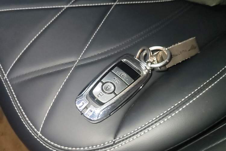 Used Ford Mustang Mach-E 2021 Leap Edition Rear-Drive Version (Standard Range) Vehicle Key