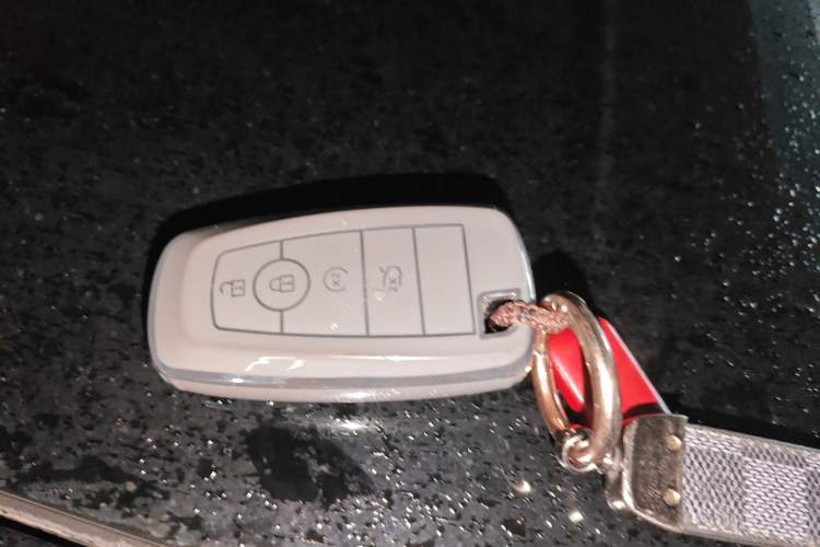 Used Ford Mustang Mach-E 2021 Leap Edition Rear-Drive Version (Standard Range) Vehicle Key