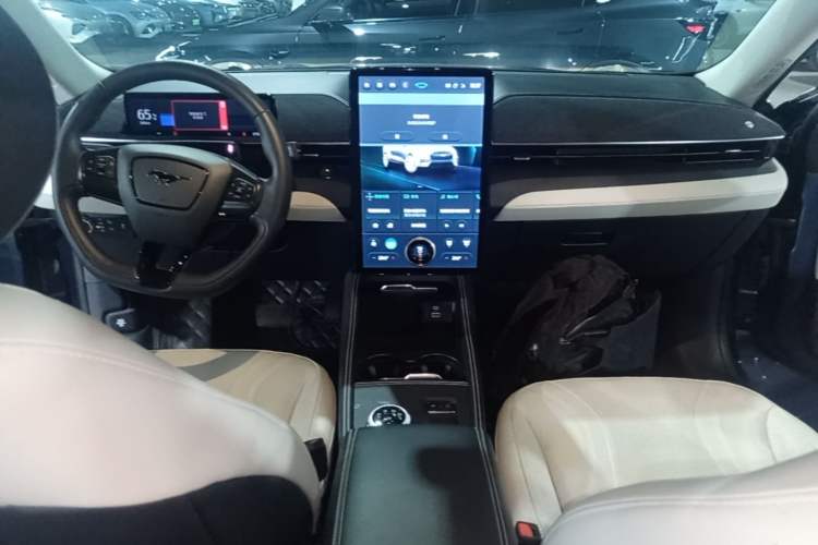 Used Ford Mustang Mach-E 2021 AION Y Plus Rear-Drive Luxury Edition (Long Range) Center Console