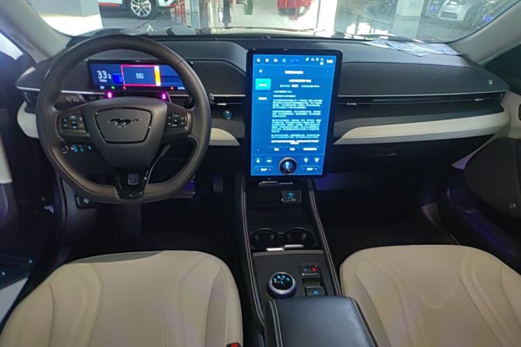Used Ford Mustang Mach-E 2021 AION Y Plus Rear-Drive Luxury Edition (Long Range) Center Console