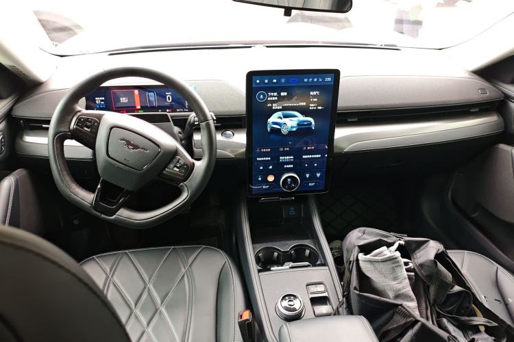 Used Ford Mustang Mach-E 2021 Leap Edition Rear-Drive Version (Standard Range) Center Console