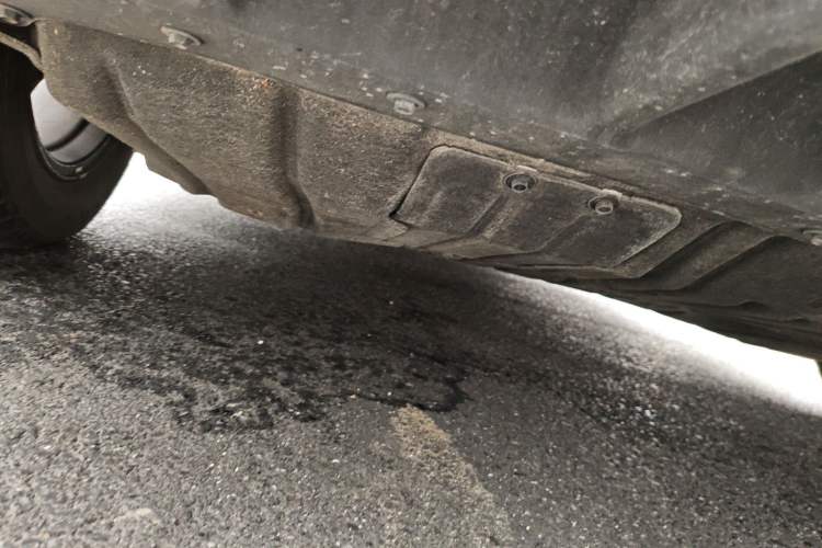 Used Ford Mustang Mach-E 2021 Leap Edition Rear-Drive Version (Standard Range) Chassis Rear