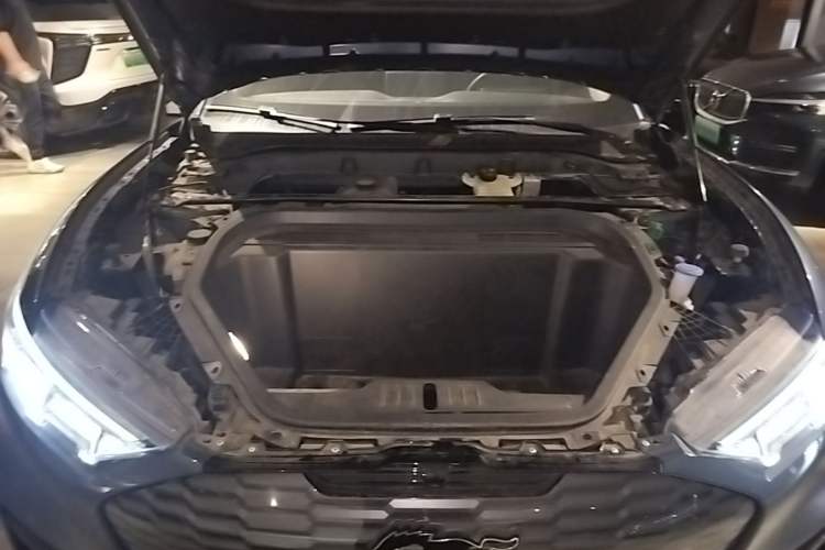 Used Ford Mustang Mach-E 2021 AION Y Plus Rear-Drive Luxury Edition (Long Range) Engine Bay