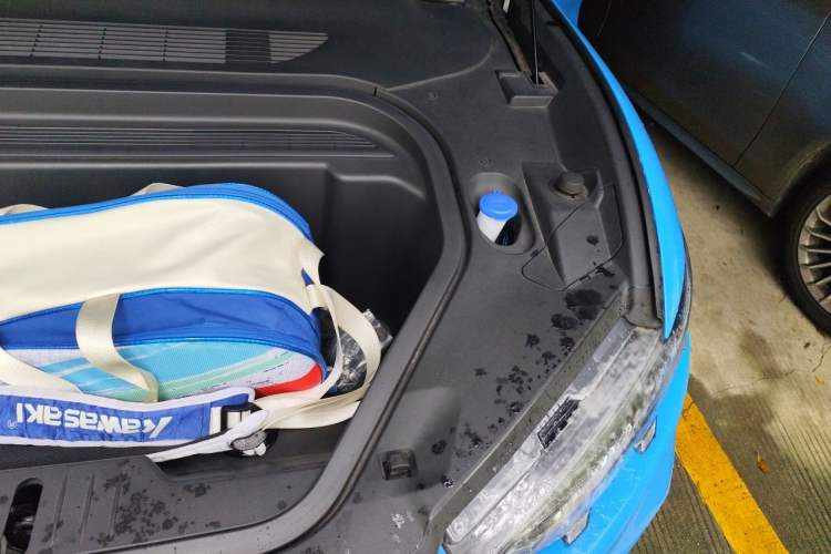 Used Ford Mustang Mach-E 2021 GT First Edition Engine Bay Left