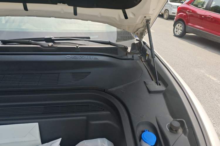 Used Ford Mustang Mach-E 2021 Leap Edition Rear-Drive Version (Standard Range) Engine Bay Left