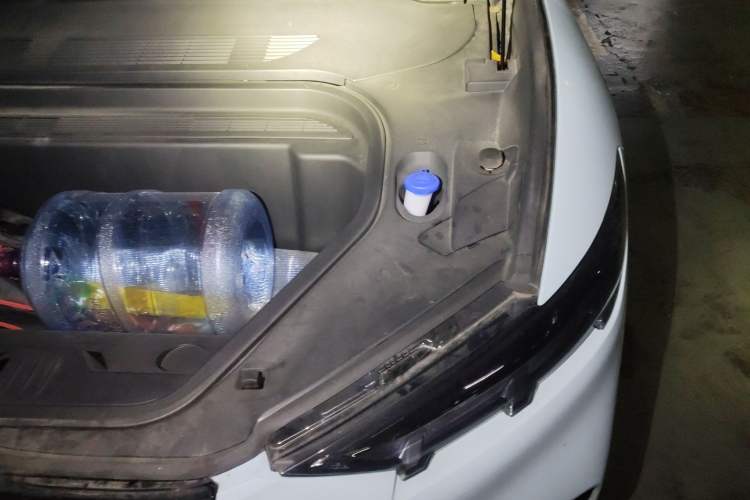 Used Ford Mustang Mach-E 2021 Leap Edition Rear-Drive Version (Standard Range) Engine Bay Left