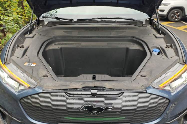 Used Ford Mustang Mach-E 2021 AION Y Plus Rear-Drive Luxury Edition (Long Range) Engine Bay