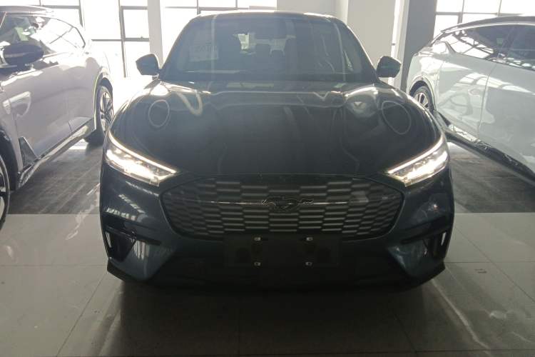 Used Ford Mustang Mach-E 2021 Leap Edition Rear-Drive Version (Standard Range) Front