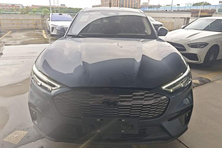 Used Ford Mustang Mach-E 2021 Leap Edition Rear-Drive Version (Standard Range) Front