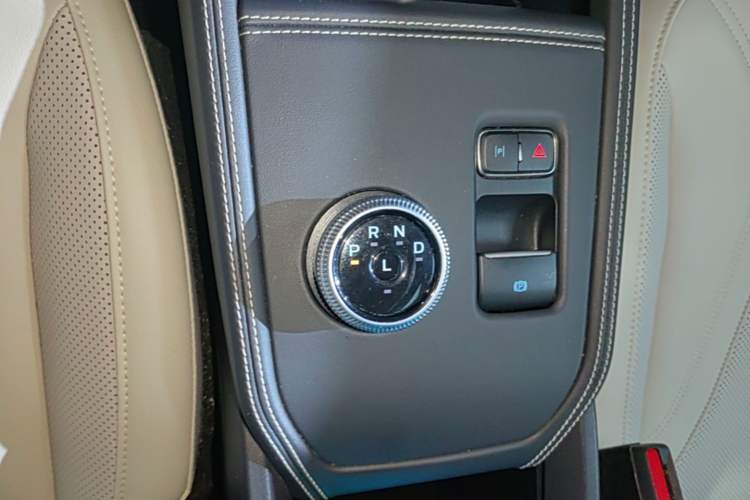 Used Ford Mustang Mach-E 2021 AION Y Plus Rear-Drive Luxury Edition (Long Range) Gear Lever