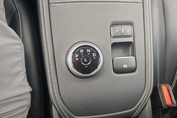 Used Ford Mustang Mach-E 2021 AION Y Plus Rear-Drive Luxury Edition (Long Range) Gear Lever
