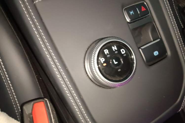 Used Ford Mustang Mach-E 2021 Leap Edition Rear-Drive Version (Standard Range) Gear Lever
