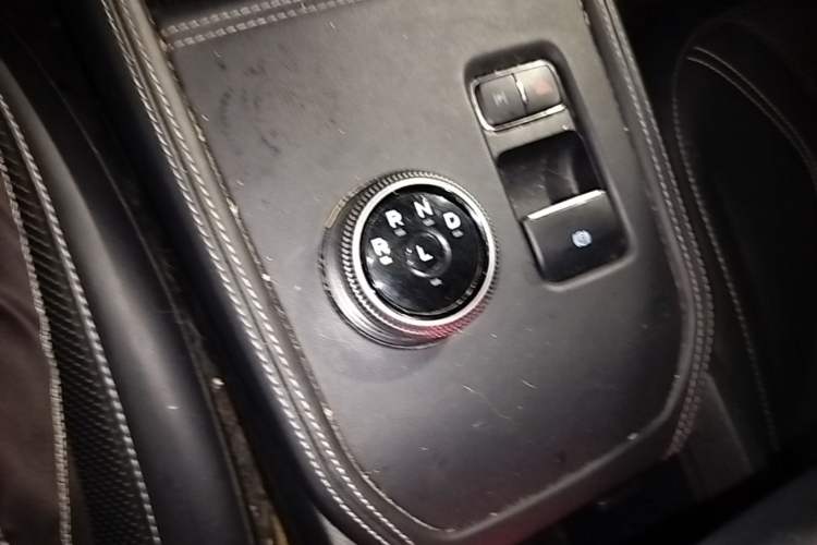 Used Ford Mustang Mach-E 2021 AION Y Plus Rear-Drive Luxury Edition (Long Range) Gear Lever