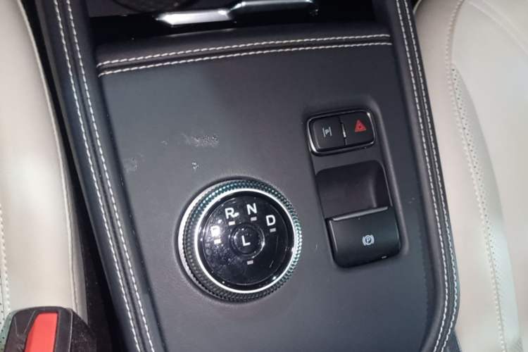 Used Ford Mustang Mach-E 2021 AION Y Plus Rear-Drive Luxury Edition (Long Range) Gear Lever