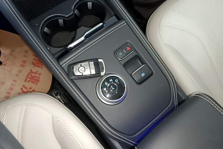 Used Ford Mustang Mach-E 2021 AION Y Plus Rear-Drive Luxury Edition (Long Range) Gear Lever