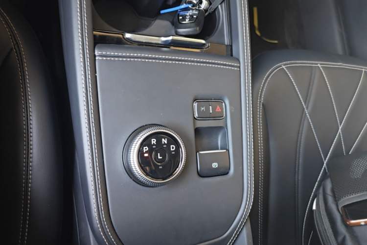 Used Ford Mustang Mach-E 2021 Leap Edition Rear-Drive Version (Standard Range) Gear Lever