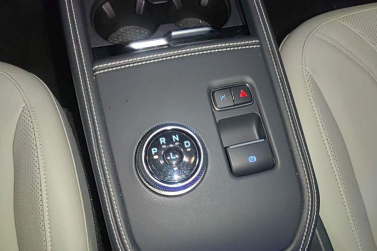 Used Ford Mustang Mach-E 2021 AION Y Plus Rear-Drive Luxury Edition (Long Range) Gear Lever