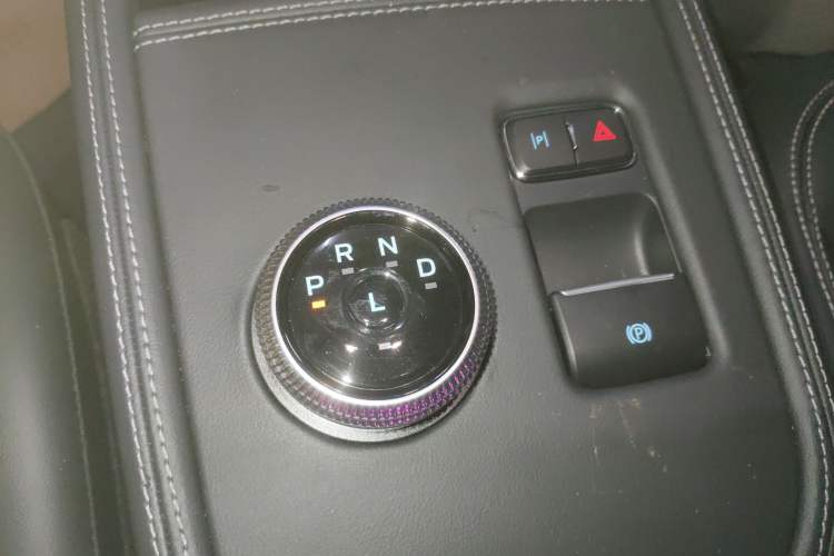 Used Ford Mustang Mach-E 2021 Leap Edition Rear-Drive Version (Standard Range) Gear Lever