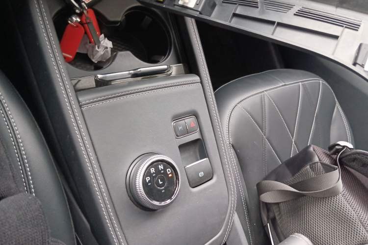 Used Ford Mustang Mach-E 2021 Leap Edition Rear-Drive Version (Standard Range) Gear Lever