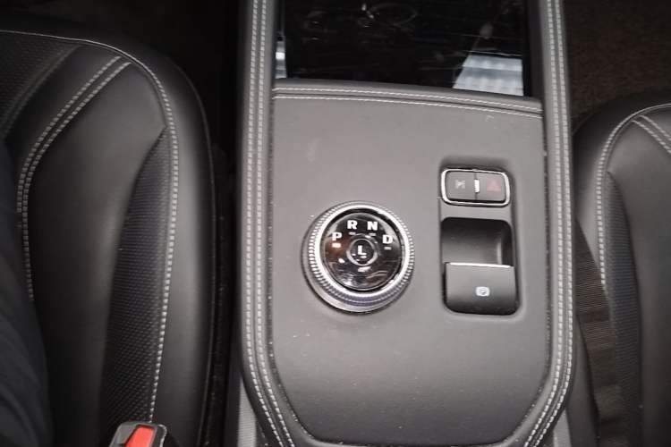 Used Ford Mustang Mach-E 2021 AION Y Plus Rear-Drive Luxury Edition (Long Range) Gear Lever