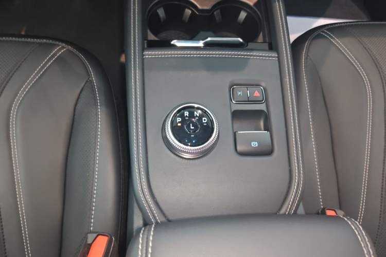 Used Ford Mustang Mach-E 2021 AION Y Plus Rear-Drive Luxury Edition (Long Range) Gear Lever